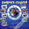 Diverse - B&uuml;ndner Stubet&auml; (CD28542)